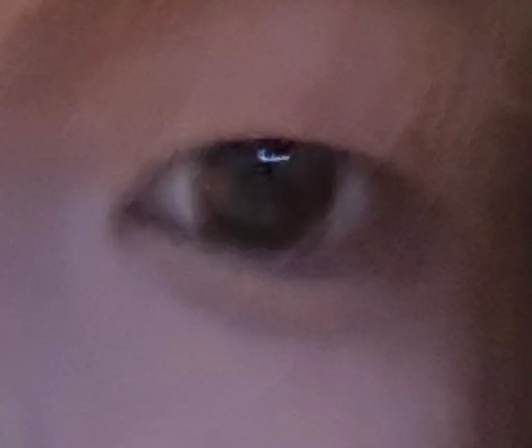 리뷰 이미지 2