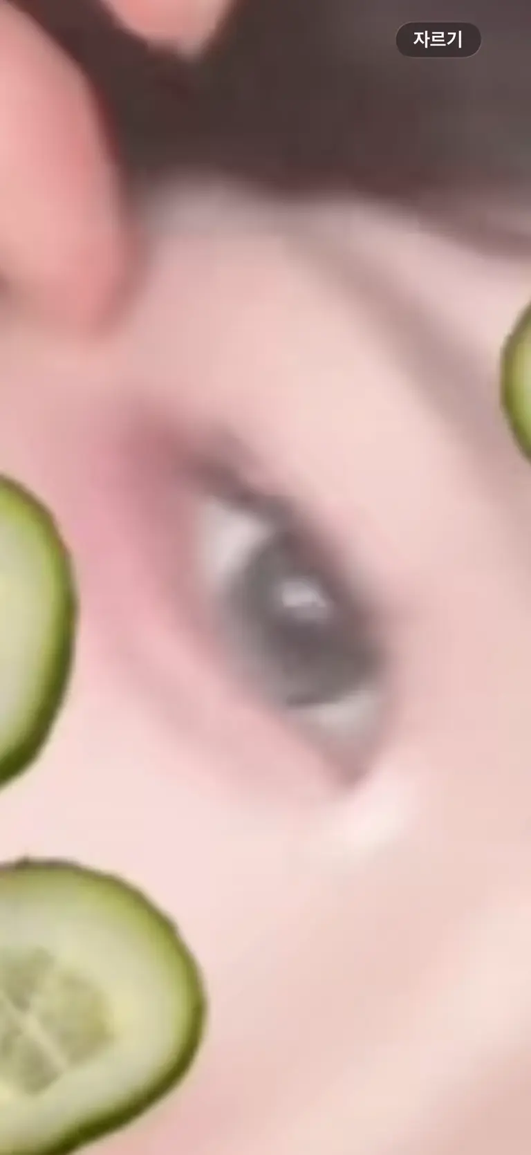 리뷰 이미지 1