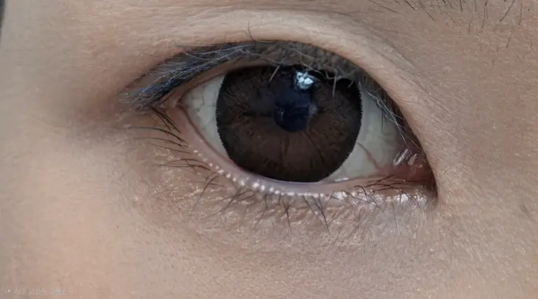 리뷰 이미지 1