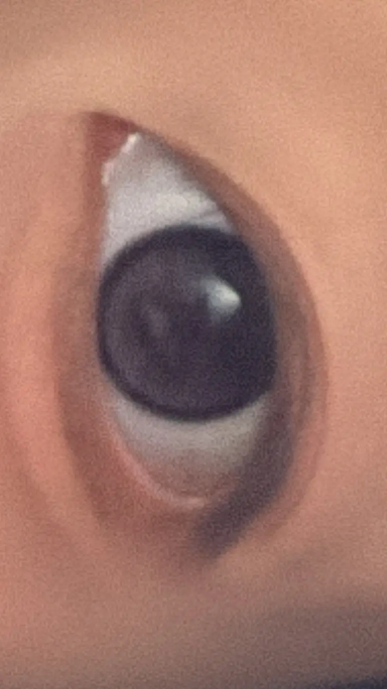 리뷰 이미지 1