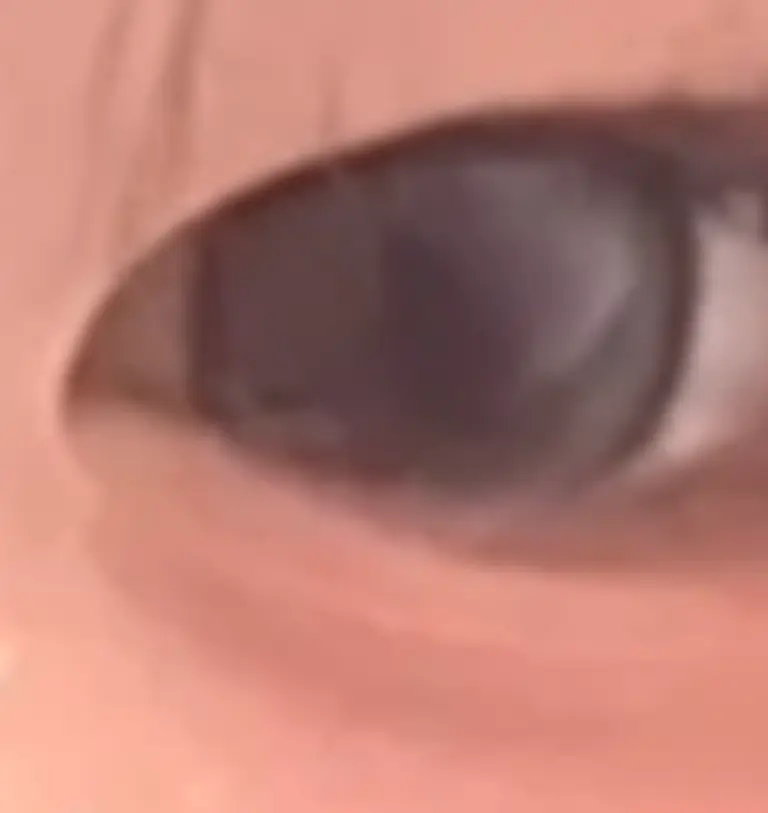 리뷰 이미지 1