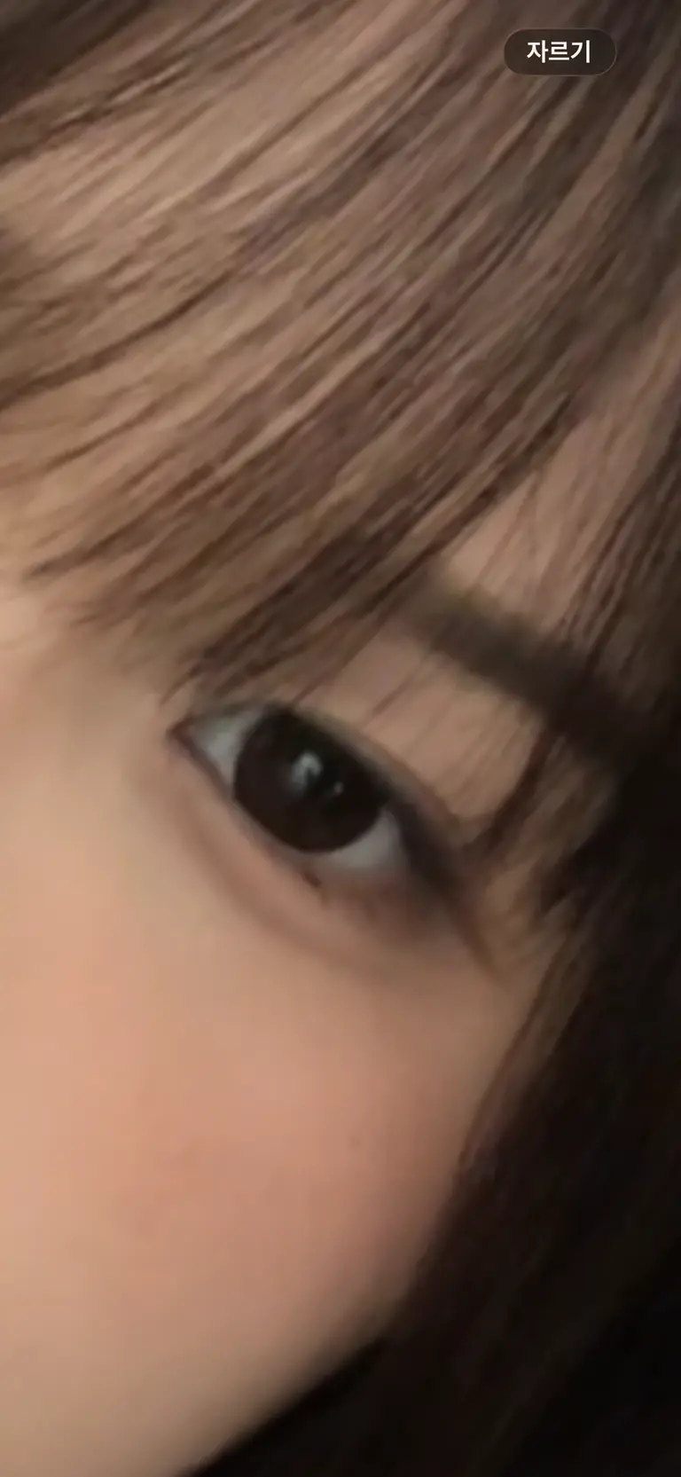 리뷰 이미지 1