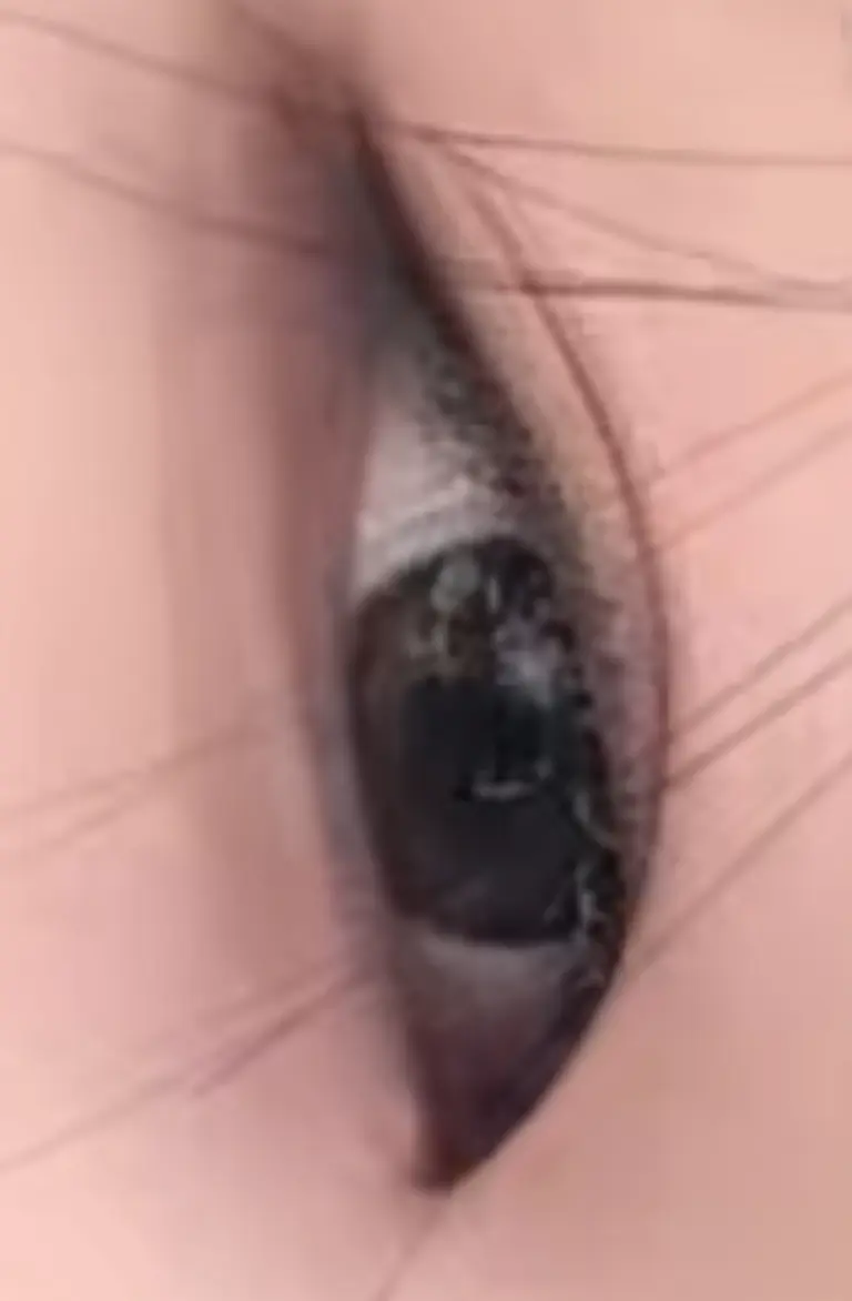 리뷰 이미지 1