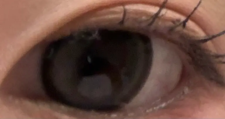 리뷰 이미지 1