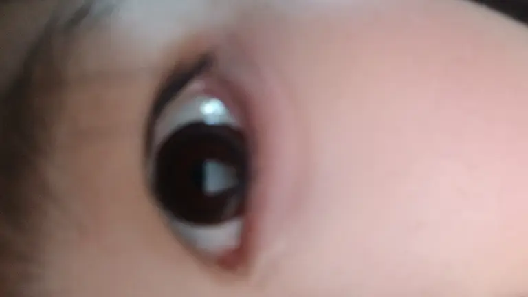 리뷰 이미지 1
