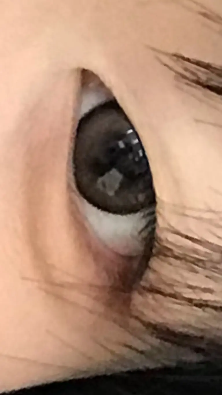 리뷰 이미지 1