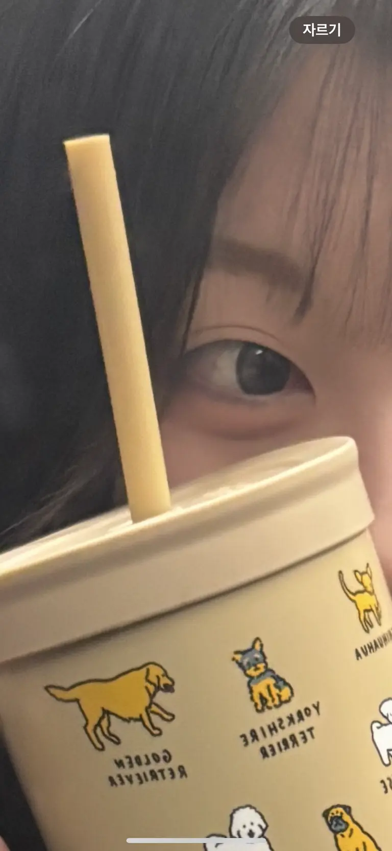 리뷰 이미지 1
